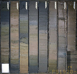A marine sediment core